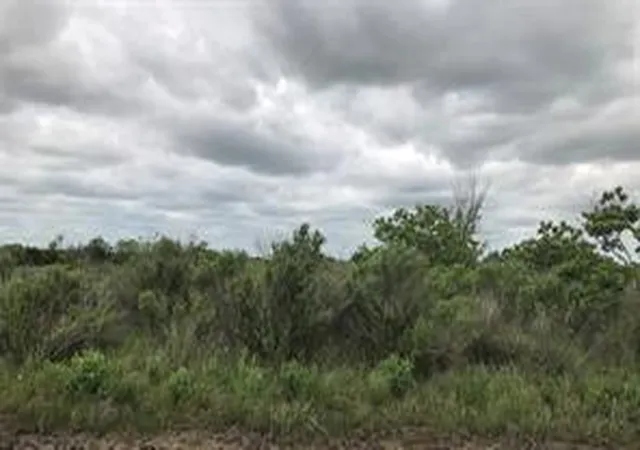 Photo 3 of Land for sale at 0 Cr-595, Angleton, TX 77515 | MLS# 43466314 | Listing updated on 2026-07-25
