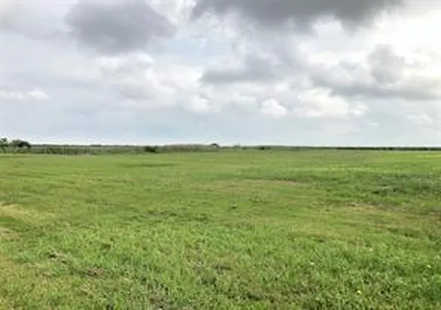 Photo 4 of Land for sale at 0 Cr-595, Angleton, TX 77515 | MLS# 43466314 | Listing updated on 2026-07-25
