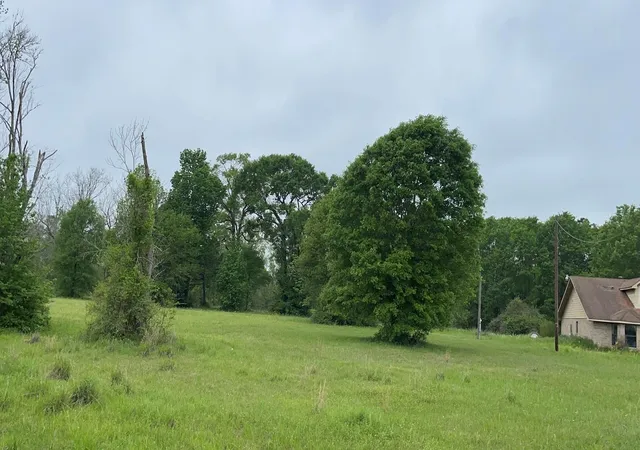 Photo 2 of Land for sale at 0 Fm 3342, Shepherd, TX 77371 | MLS# 16591672 | Listing updated on 2026-08-05