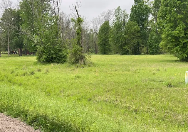 Photo 3 of Land for sale at 0 Fm 3342, Shepherd, TX 77371 | MLS# 16591672 | Listing updated on 2026-08-05