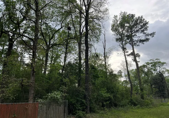 Photo 3 of Land for sale at 0 White Oak, Conroe, TX 77303 | MLS# 5545660 | Listing updated on 2026-06-22