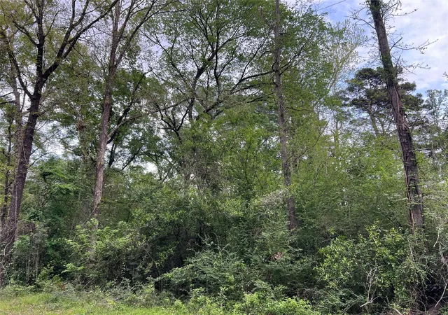 Photo 3 of Land for sale at 0 White Oak, Conroe, TX 77303 | MLS# 5545660 | Listing updated on 2026-06-22