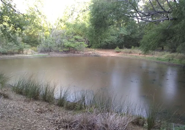 Photo 2 of Land for sale at 00 Cr 421, Buffalo, TX 75831 | MLS# 62066708 | Listing updated on 2026-08-06