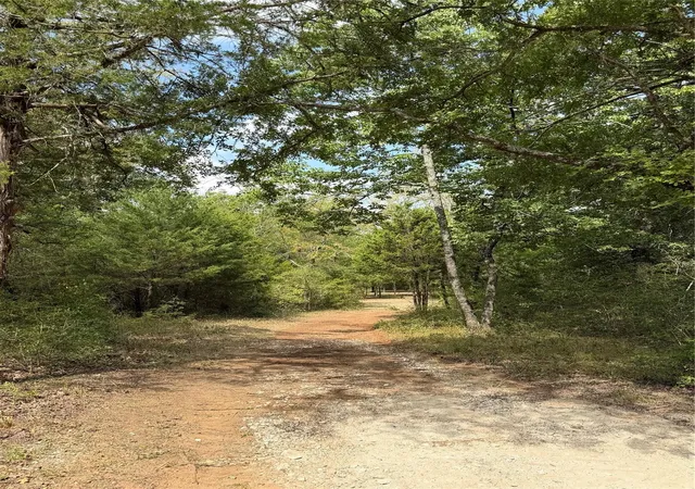 Photo 4 of Land for sale at 00 Cr 421, Buffalo, TX 75831 | MLS# 62066708 | Listing updated on 2026-08-06