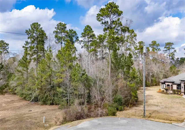 Photo 1 of Land for sale at 0 Palmer Oaks Dr, Huffman, TX 77336 | MLS# 53157044 | Listing updated on 2026-08-29
