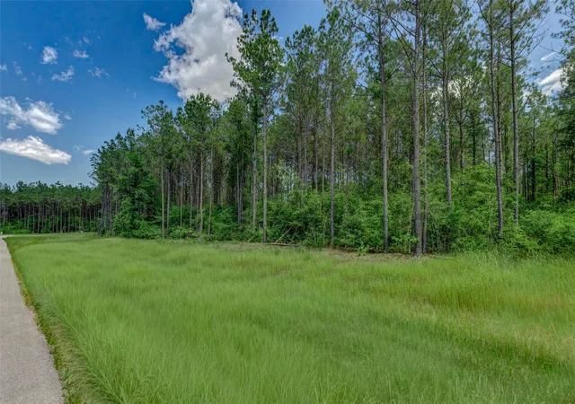 14th image of 16215 Golden Wood Ct, Willis, TX 77378 | MLS# 61422311