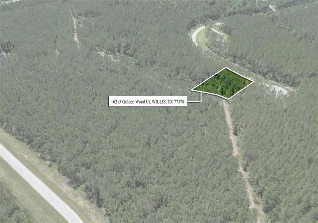 1st image of 16215 Golden Wood Ct, Willis, TX 77378 | MLS# 61422311
