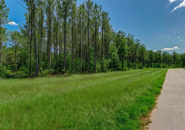 2nd image of 16215 Golden Wood Ct, Willis, TX 77378 | MLS# 61422311