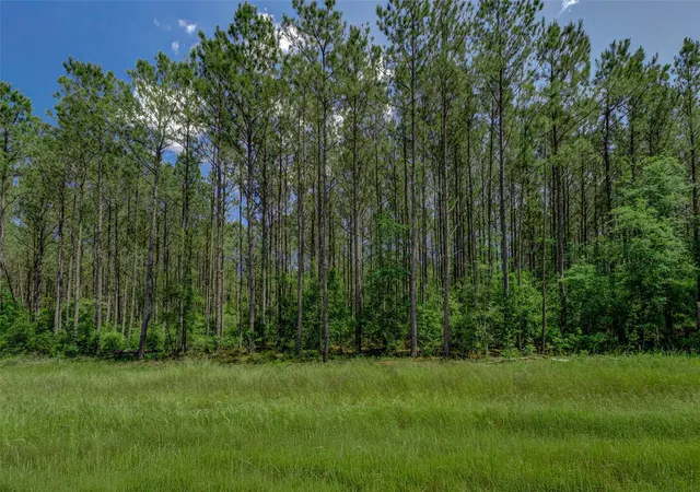 4th image of 16215 Golden Wood Ct, Willis, TX 77378 | MLS# 61422311