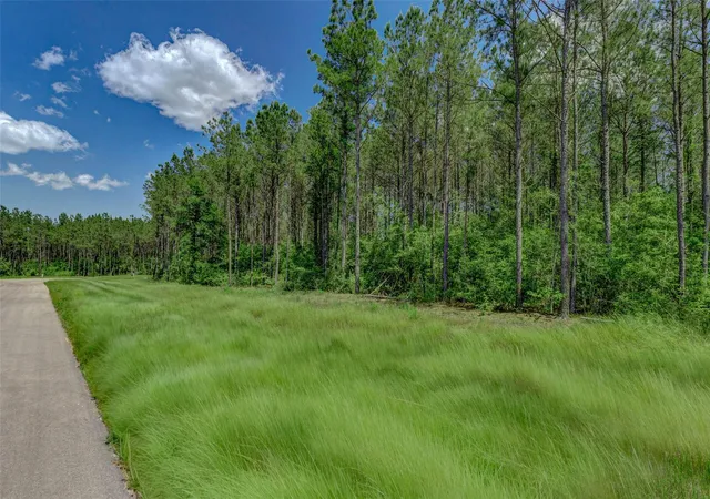 5th image of 16215 Golden Wood Ct, Willis, TX 77378 | MLS# 61422311