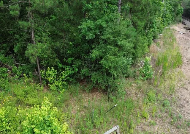 Homes for sale in Kirbyville, TX | 9087 County Road 451, Kirbyville, TX 75956 | MLS# 75212906