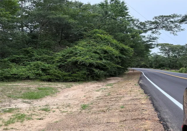Photo 4 of Land for sale at 19280 Mount Pleasant Rd, Montgomery, TX 77356 | MLS# 44696986 | Listing updated on 2026-08-31