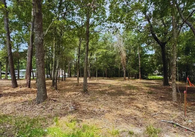 9th image of Tbd Waterfall Dr, Huffman, TX 77336 | MLS# 14110564