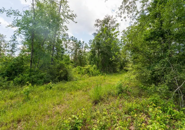 2nd image of 00 Cr 4040, Woodville, TX 75979 | MLS# 31526460