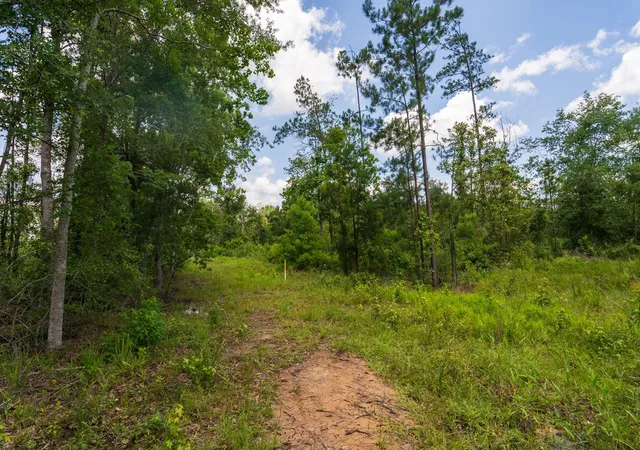 Photo 3 of Land for sale at 00 Cr 4040, Woodville, TX 75979 | MLS# 31526460 | Listing updated on 2026-07-15