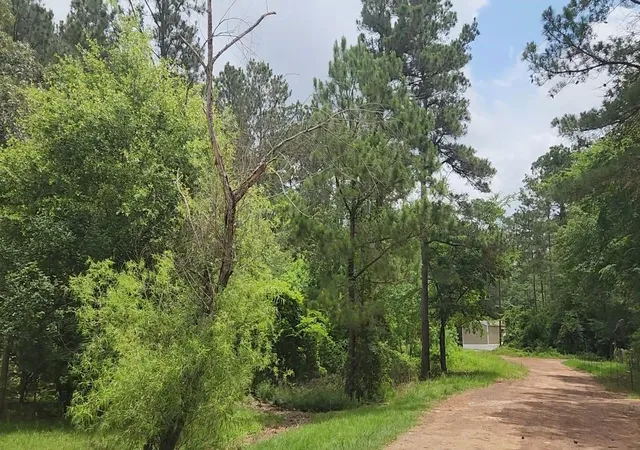 Homes for sale in Plantersville, TX | Lot 14 Basswood Ln, Plantersville, TX 77363 | MLS# 84368285