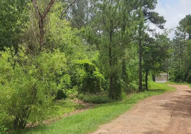 Homes for sale in Plantersville, TX | Lot 14 Basswood Ln, Plantersville, TX 77363 | MLS# 84368285