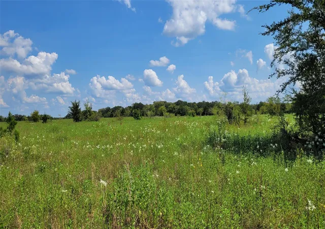 Photo 2 of Land for sale at Tbd County Rd 213, Anderson, TX 77830 | MLS# 87879472 | Listing updated on 2026-09-10