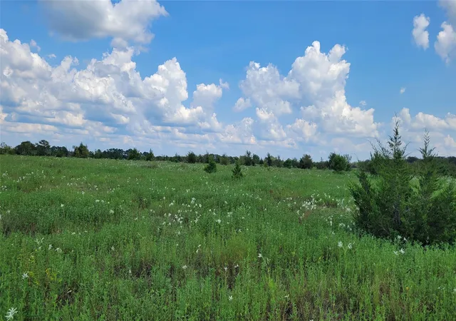 Photo 3 of Land for sale at Tbd County Rd 213, Anderson, TX 77830 | MLS# 87879472 | Listing updated on 2026-09-10