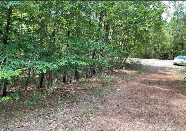 Homes for sale in Point Blank, TX | Tbd Hickory Cir, Point Blank, TX 77364 | MLS# 85852473