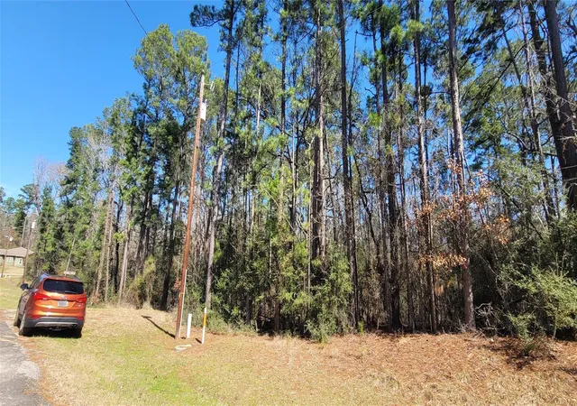 4th image of Tbd Hickory Cir, Point Blank, TX 77364 | MLS# 85852473
