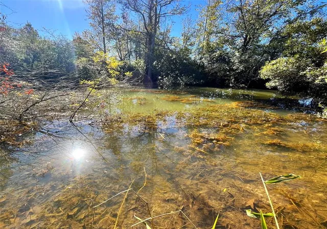 Photo 1 of Land for sale at 12124 County Road 122, Centerville, TX 75833 | MLS# 61201108 | Listing updated on 2026-05-29