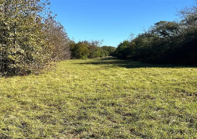 Photo 2 of Land for sale at 12124 County Road 122, Centerville, TX 75833 | MLS# 61201108 | Listing updated on 2026-05-29
