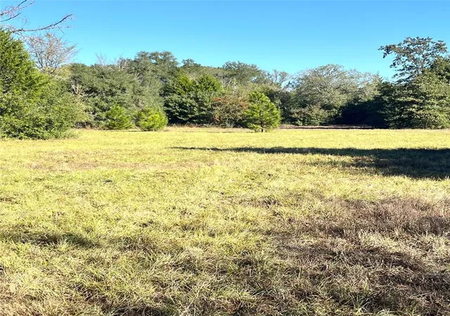 Photo 2 of Land for sale at 12124 County Road 122, Centerville, TX 75833 | MLS# 61201108 | Listing updated on 2026-05-29