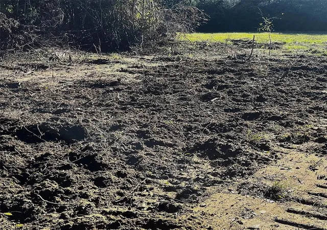 Photo 4 of Land for sale at 12124 County Road 122, Centerville, TX 75833 | MLS# 61201108 | Listing updated on 2026-05-29