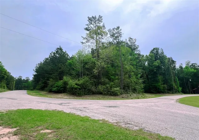 2nd image of 1 2 33 Dedication Trl, Huntsville, TX 77340 | MLS# 47627743