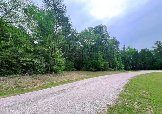 3rd image of 1-2-33 Dedication Trl, Huntsville, TX 77340 | MLS# 47627743