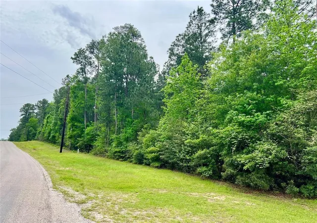 4th image of 1-2-33 Dedication Trl, Huntsville, TX 77340 | MLS# 47627743