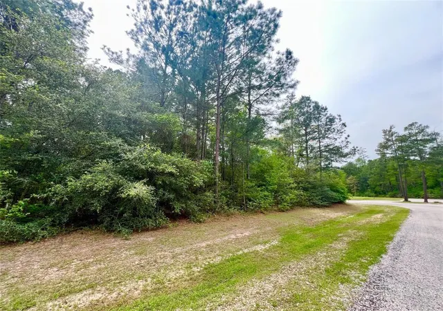 5th image of 1-2-33 Dedication Trl, Huntsville, TX 77340 | MLS# 47627743