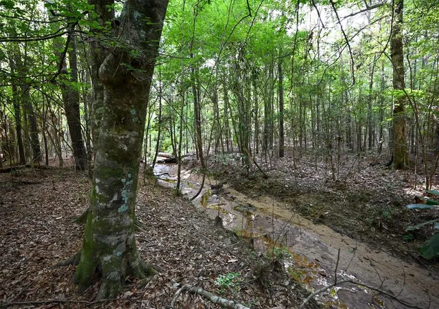 Photo 1 of Land for sale at Tbd Co Road 2150, Woodville, TX 75979 | MLS# 49717754 | Listing updated on 2026-04-05