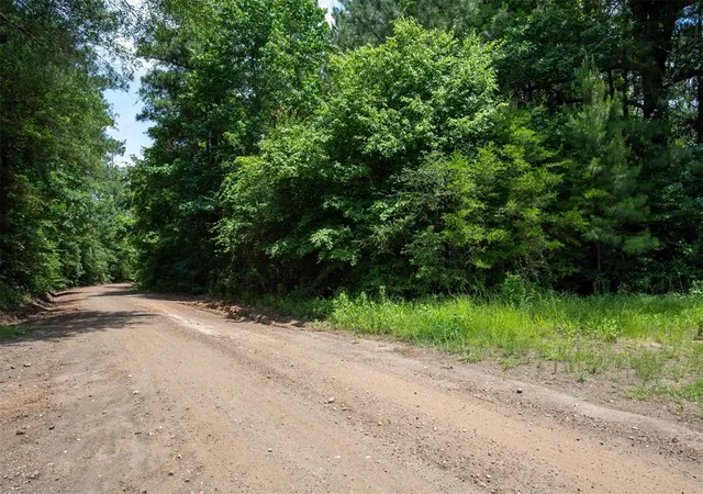 Photo 2 of Land for sale at Tbd Co Road 2150, Woodville, TX 75979 | MLS# 49717754 | Listing updated on 2026-04-05