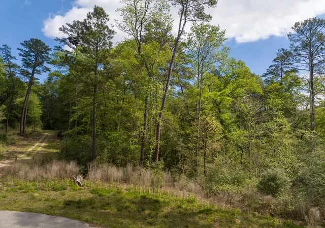 Photo 3 of Land for sale at 1 Sandstone Ln, Huntsville, TX 77340 | MLS# 44671477 | Listing updated on 2026-03-30