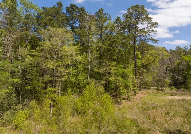 Photo 4 of Land for sale at 1 Sandstone Ln, Huntsville, TX 77340 | MLS# 44671477 | Listing updated on 2026-03-30