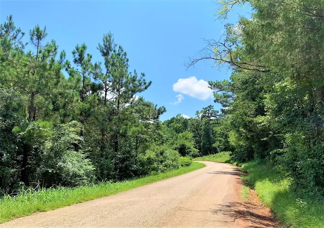 1st image of 558 County Road 4101, Jacksonville, TX 75766 | MLS# 56956659