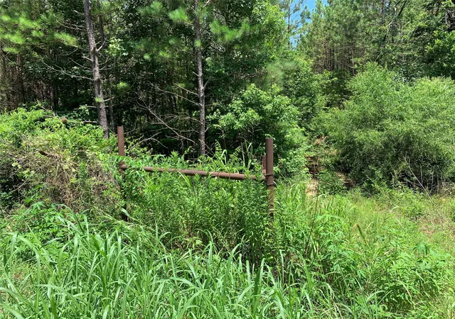 2nd image of 558 County Road 4101, Jacksonville, TX 75766 | MLS# 56956659