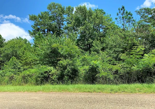 3rd image of 558 County Road 4101, Jacksonville, TX 75766 | MLS# 56956659