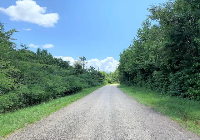 4th image of 558 County Road 4101, Jacksonville, TX 75766 | MLS# 56956659