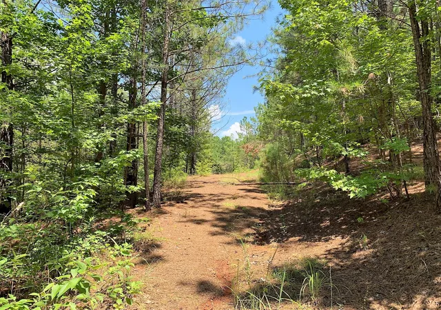 5th image of 558 County Road 4101, Jacksonville, TX 75766 | MLS# 56956659