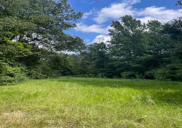 5th image of 1 Jenkins Road North, Oakhurst, TX 77359 | MLS# 26842025