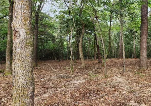 Photo 1 of Land for sale at 7595 Broussard Rd, Beaumont, TX 77713 | MLS# 87214575 | Listing updated on 2026-08-03