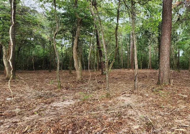 Photo 3 of Land for sale at 7595 Broussard Rd, Beaumont, TX 77713 | MLS# 87214575 | Listing updated on 2026-08-03