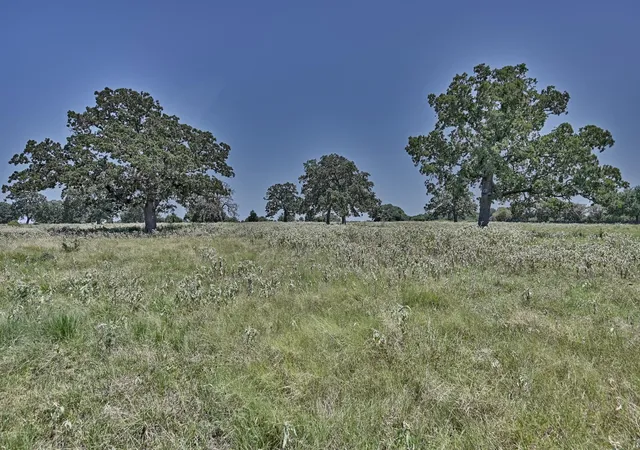 3rd image of Tbd Eberhardt Rd, Burton, TX 77835 | MLS# 62287578