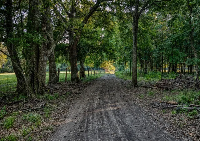 Photo 3 of Land for sale at 5344 Andert Rd, Bryan, TX 77808 | MLS# 38490574 | Listing updated on 2026-08-12