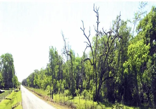 Photo 2 of Sale Pending at 0 County Road 28, Angleton, TX 77515 | MLS# 73011664 | Listing updated on 2026-09-09