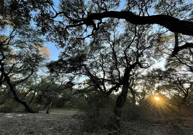 Photo 2 of Land for sale at 516 County Rd 120, Hallettsville, TX 77964 | MLS# 3486771 | Listing updated on 2026-07-31