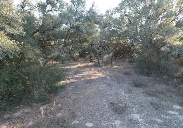 Photo 3 of Land for sale at 516 County Rd 120, Hallettsville, TX 77964 | MLS# 3486771 | Listing updated on 2026-07-31